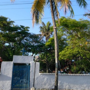 Cemitério São Benedito